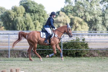 Bild 15 - Pony Akademie Turnier